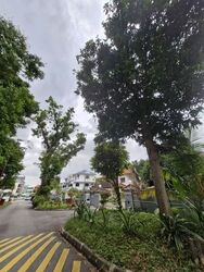 Florence Road (D19), Detached #595850651